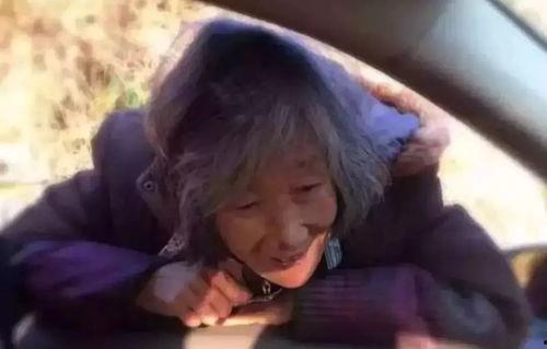 慈母在线观看,温情演绎母爱如山的故事  第3张