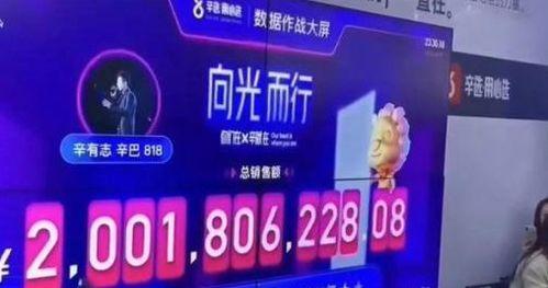 辛巴爆料快手收五一亿的视频,快手五一亿元内幕曝光  第2张