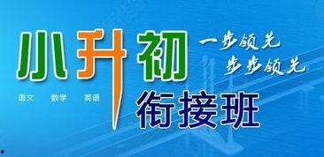 茂名小升初爆料新闻,内幕揭秘，家长焦虑背后的真相  第1张