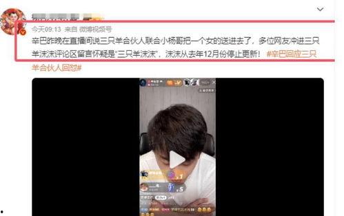 搜索爆料小杨哥视频,网络爆红背后的故事与争议  第2张